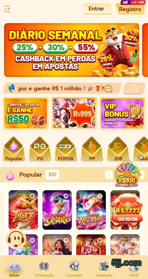 Atendente auxiliando cliente em suporte VIP 5jj.com